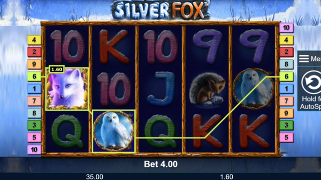 Характеристики слота Silver Fox 7