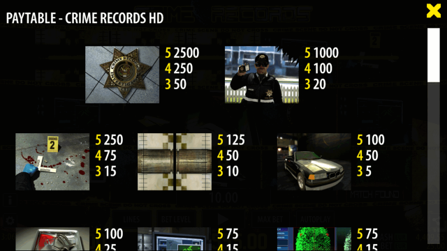 Игровой интерфейс Crime Records 9